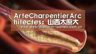 ArteCharpentierArchitectes:山西太原大戏院“爱游戏下载”(图1) 爱游戏入口