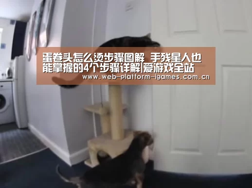 蛋卷头怎么烫步骤图解 手残星人也能掌握的4个步骤详解|爱游戏全站(图2) 爱游戏下载