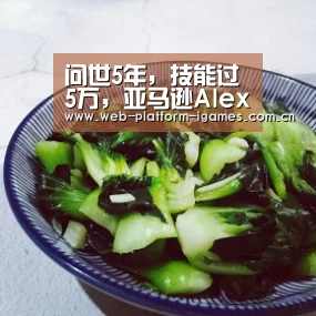 问世5年,技能过5万,亚马逊Alexa为啥赚不了钱?“爱游戏入口”(图1) 爱游戏入口