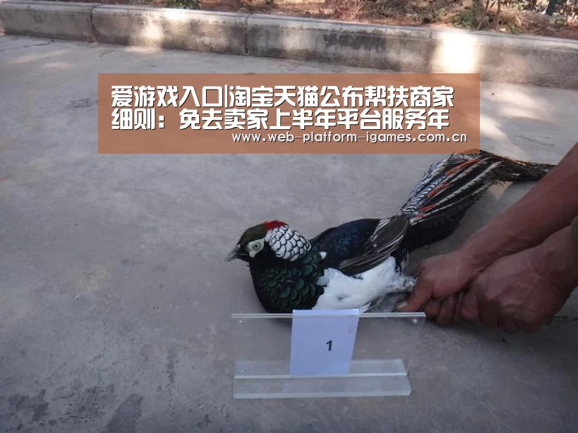 爱游戏入口|淘宝天猫公布帮扶商家细则:免去卖家上半年平台服务年费等(图4) 爱游戏入口